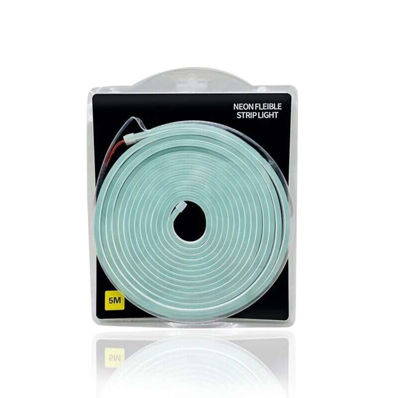 Neon Flexible LED Strip Light 5M (Ice Blue) 12VDC